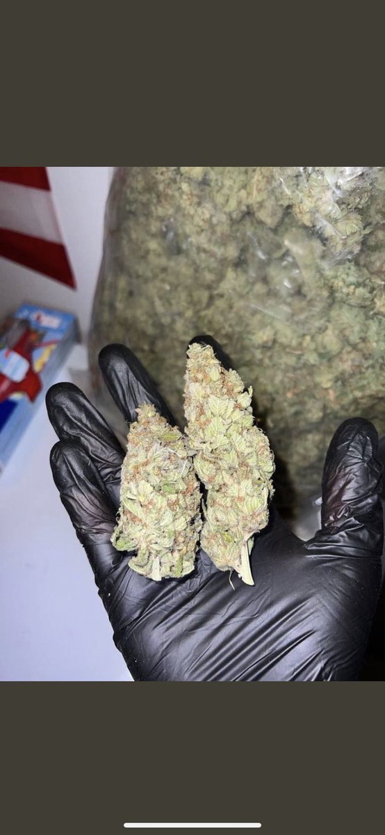 weedrive75's tweet photo. Livraison de verte dans tout Paris 
Équipe sérieux et ponctualité important avec une qualité excellente 

Voici notre numéro WhatsApp cadeaux au première commande 🎊📥

+33 7 53 58 13 54🚀
#livraisondeweed #Paris16 #weedparis #livraisondeverte #livreurdeweed https://t.co/lAgSAVpjE7