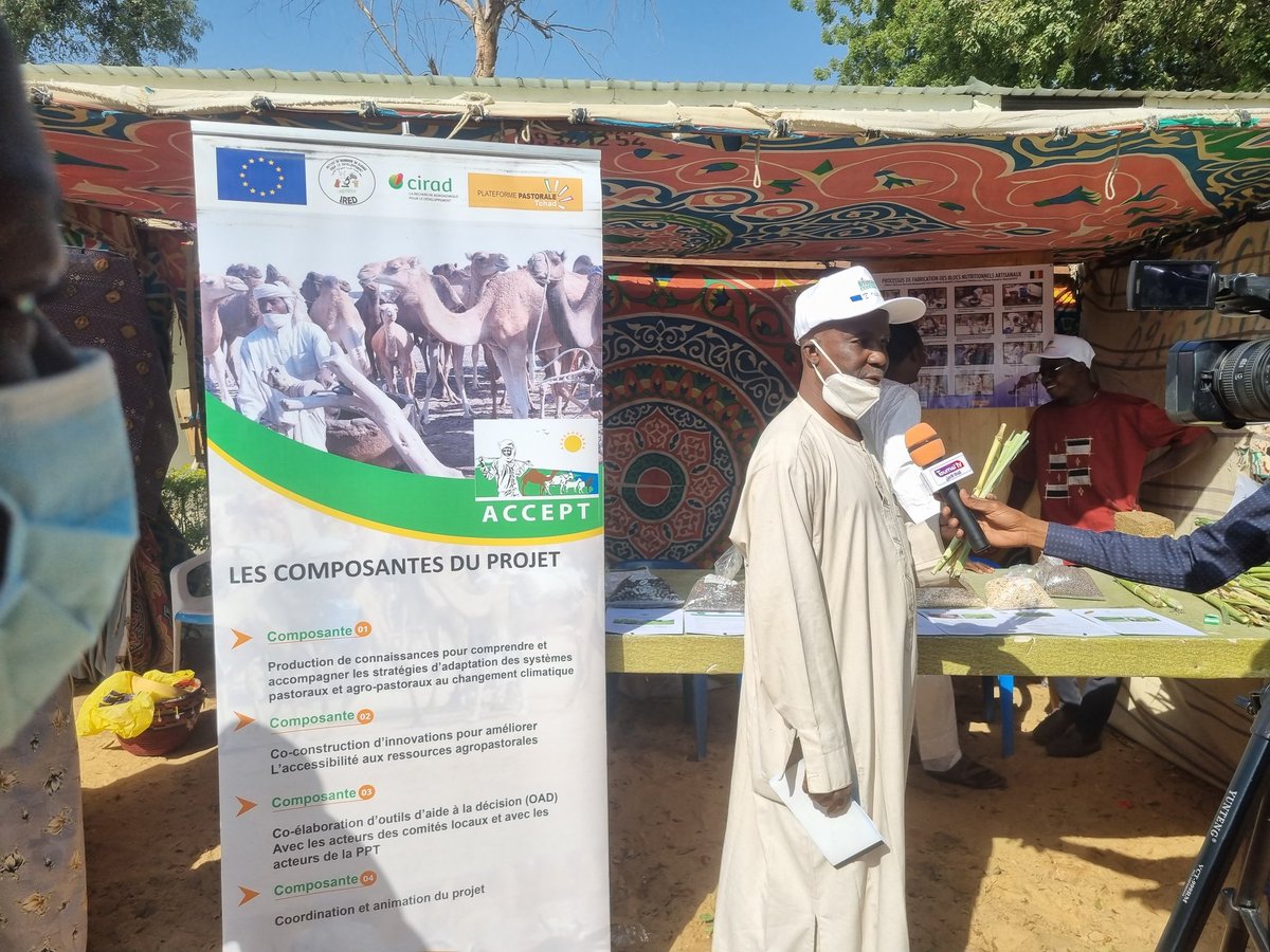 Le projet Accept-Tchad  participe du 04 au 06 janvier 2023 à la 3ème Edition des Journées portes ouvertes de l'ITRAD.
Le projet ACCEPT à travers sa Composante 2, présente les fruits de ses travaux de recherches sur les innovations de la production animale. 
<a href="/DissemInn/">DISSEM INN</a> <a href="/UEauTchad/">L'UE AU TCHAD 🇪🇺</a>