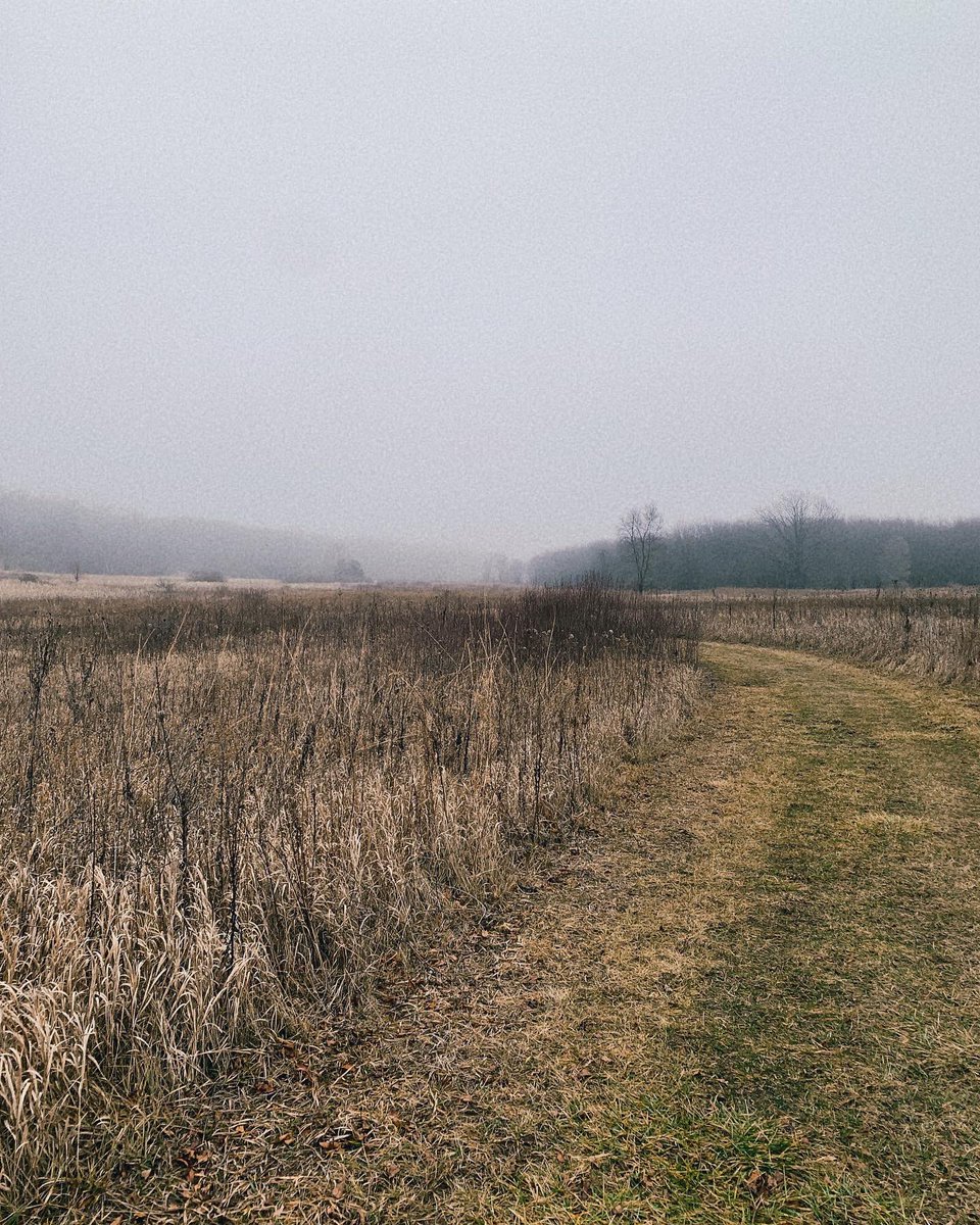 subtle_script's tweet image. Ringing in the new year with some winter hiking with friends. It’s giving me that gothic romance vibe. #stetwalk #amediting