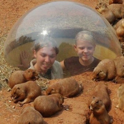 Gorgon Stare (@nickmorgenbach) on Twitter photo 