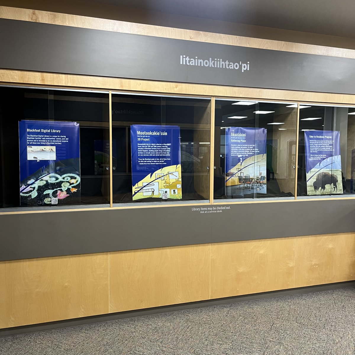 ulethlibrary's tweet photo. Welcome back!
When you enter the Library check out the display of Indigenous languages, projects, and services at University of Lethbridge—including #Blackfoot phraseology!
#ULethbridge #ULeth #Niitsitapi #mootookakiossin @BlackfootDigLib https://t.co/jmJQgH81eA https://t.co/zPnEAIINVj