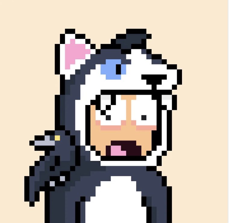 birdman.quirk tweet media