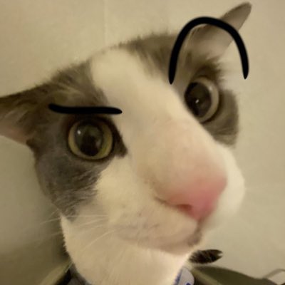 mpearl1e's tweet photo. #NewProfilePic https://t.co/3Rso3Dq0qd