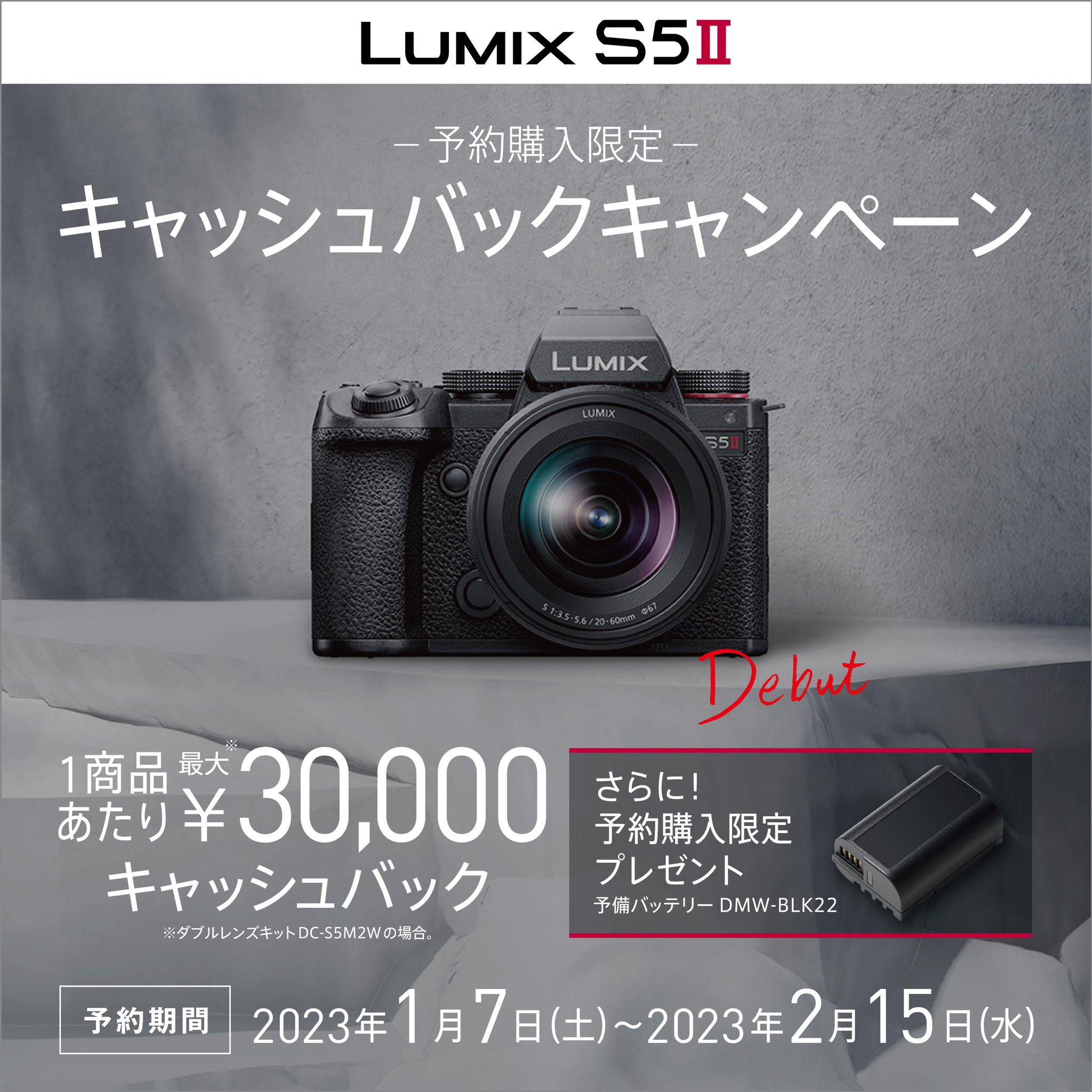 LUMIX DC-S5M2X 純正バッテリー２つ LUMIX DC-S5M2X 純正バッテリー2つ 楽天市場】☆送料無料☆ DMW-BLK22
