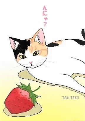 #いちごの日 猫にいちごをたくさんあげてはいけません少しならあげても問題はないとのことニャ~ #猫好き #オリジナルイラスト 