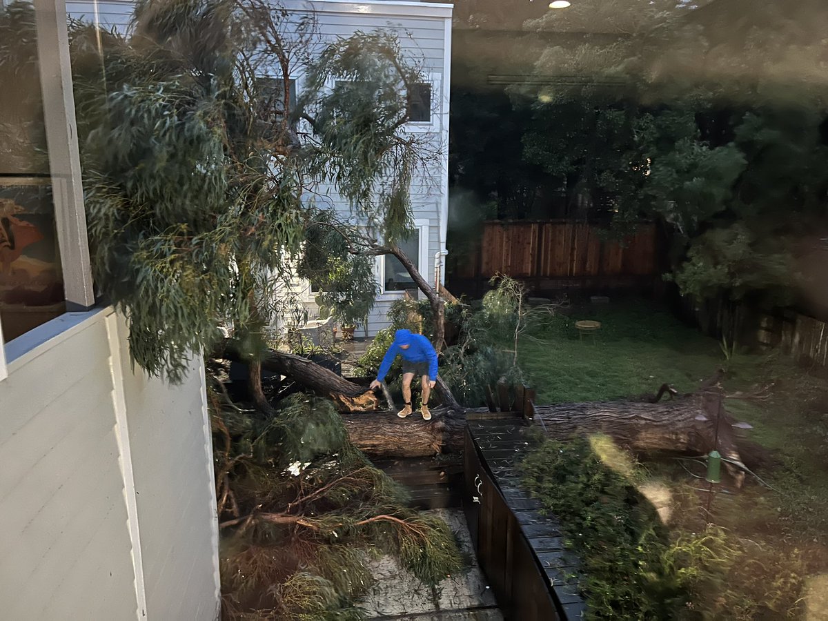 jessbrody's tweet photo. Well we just got lucky. Our neighbor’s tree just came crashing down into our yard in Noe Valley, falling just between our building and the cottage behind us. Stay safe out there. #SanFrancisco #sfstorm https://t.co/F7ezKzDGI3