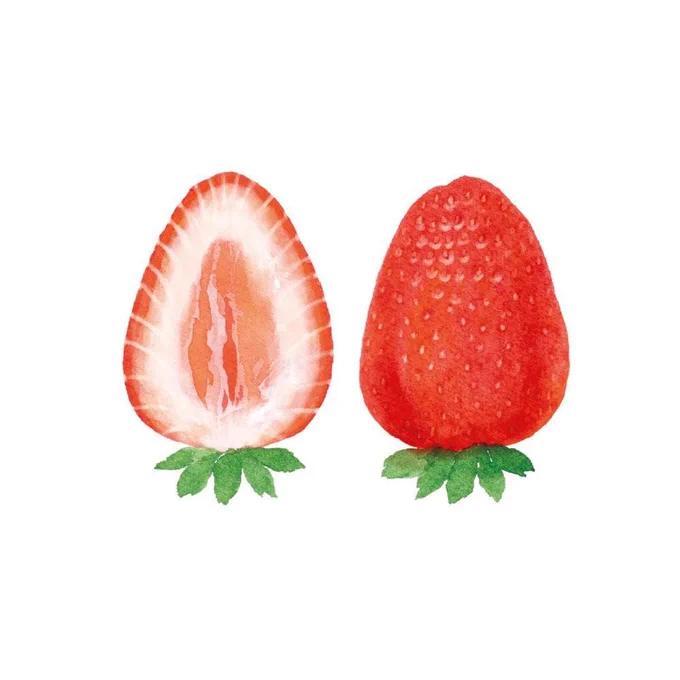 #いちごの日 図鑑的に描き分けるのが楽しいお仕事でした🍓 