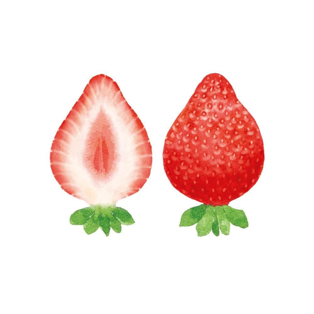 #いちごの日 図鑑的に描き分けるのが楽しいお仕事でした🍓 