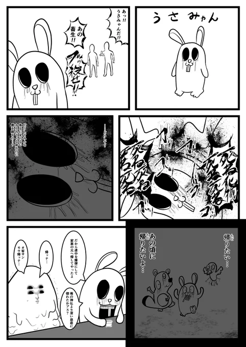 うさみゃん 