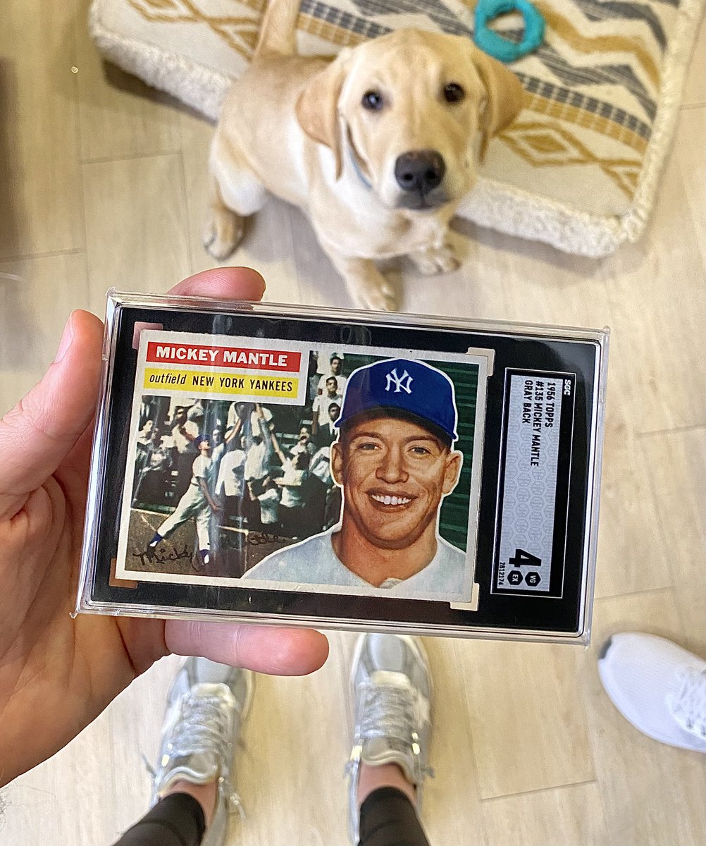 Carofine tweet media