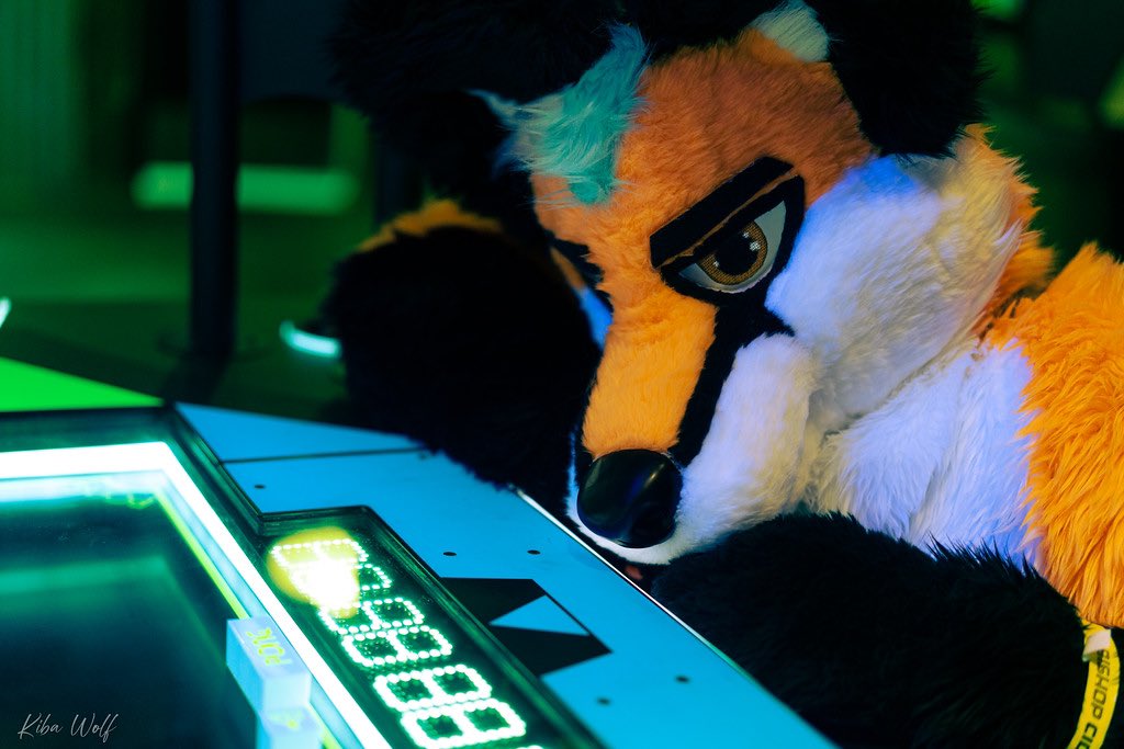 Kudenfox's tweet photo. Fox playing some video games. Very focused.
#furry #fursuit #dfwfur https://t.co/FZuwuoJW5i