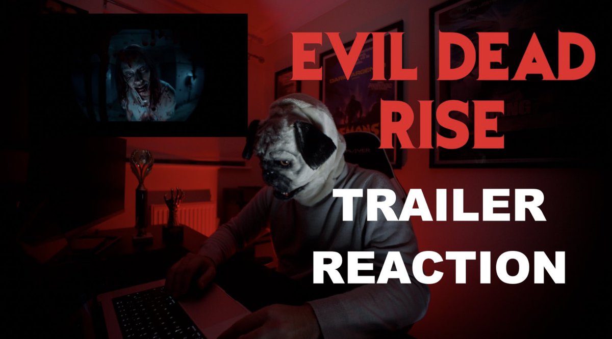 Dogbrain Videos tweet media