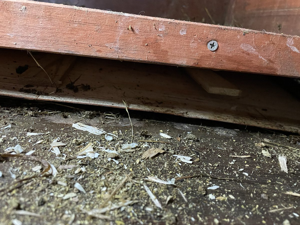 _ntrafford's tweet photo. glad i spent £130 on a rabbits hutch for it to break 5 months later 🫠 it’s always something @PetsatHome https://t.co/H09jXaVOf0