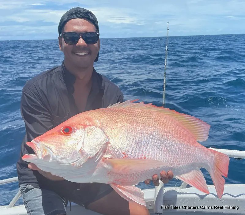 fish_tales's tweet photo. From Tuesday 3rd January 2023
Fishin!
#fishtalescairns #largemouthnannygai #theFNQway #trevally #baitfishing🎣 #thisisqueensland #TNQ #explorecairnsgbr🏌️‍♀️⛳️🐊☀️🌴 #cometocairns2023 #gofishing #guidedfishingchartercairns #exploreTNQ #wetseasonfishing #fishingtripcairns #GBR https://t.co/Vt3nMD6O3F