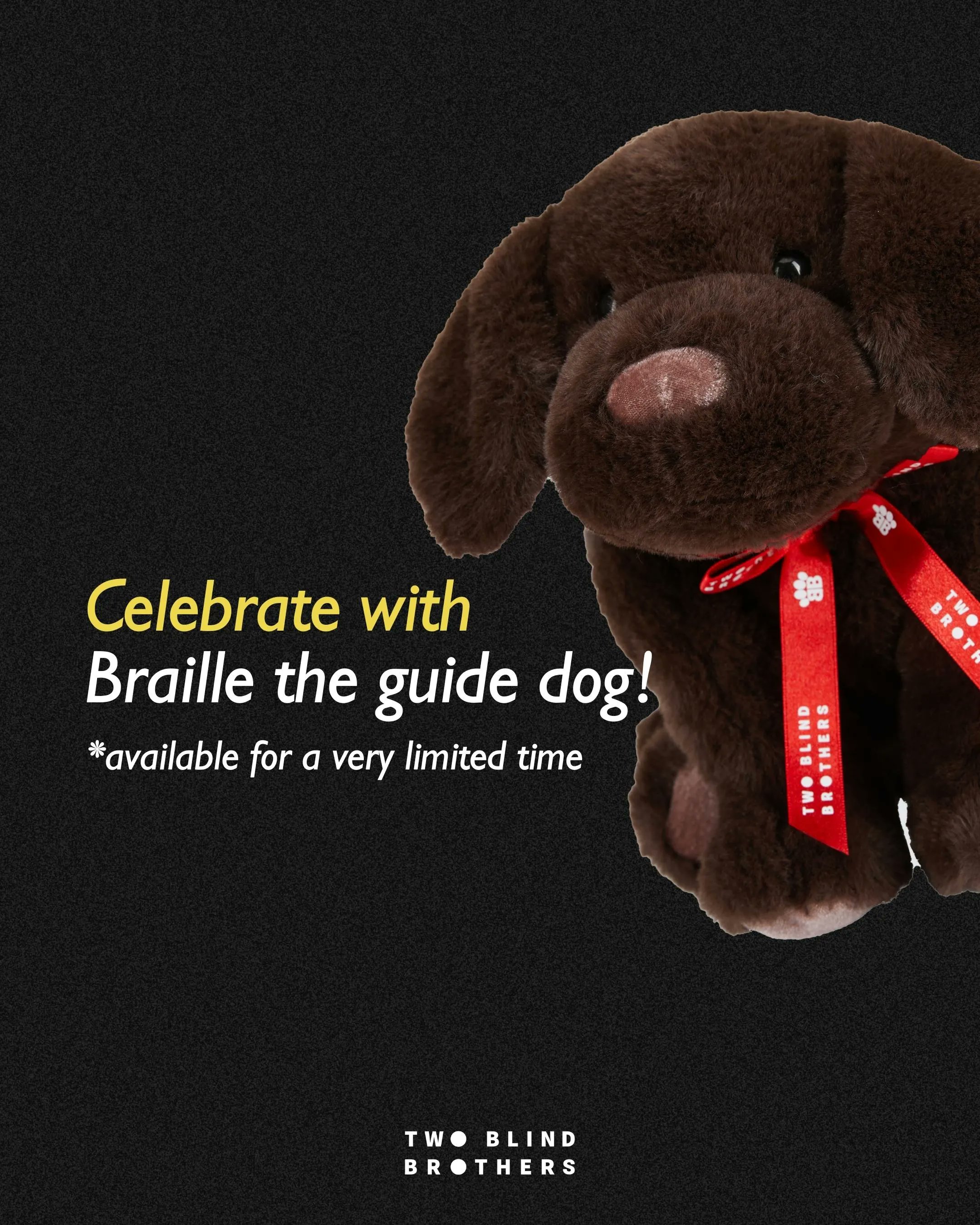 Celebrate with Braille the guide dog! *Available for a limited time