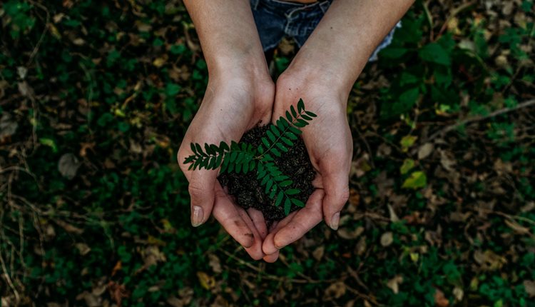 FESPAEspanol's tweet photo. El compromiso con la sostenibilidad medioambiental dentro del sector editorial de libros es real y cada vez más enérgico

https://t.co/WwgBWkjxxW

#sustentable #imprentas #impresion #sostenible #FESPA https://t.co/wlLjRU2lBp