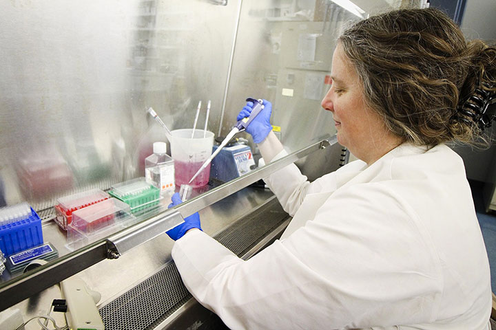 Saint Louis University’s Center for Vaccine Development is participating in a clinical study for an investigational vaccine being developed against influenza: loom.ly/JrFolwk
