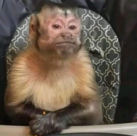 -Me hará efecto el gym así?
-Así cómo?
-Así sin ir