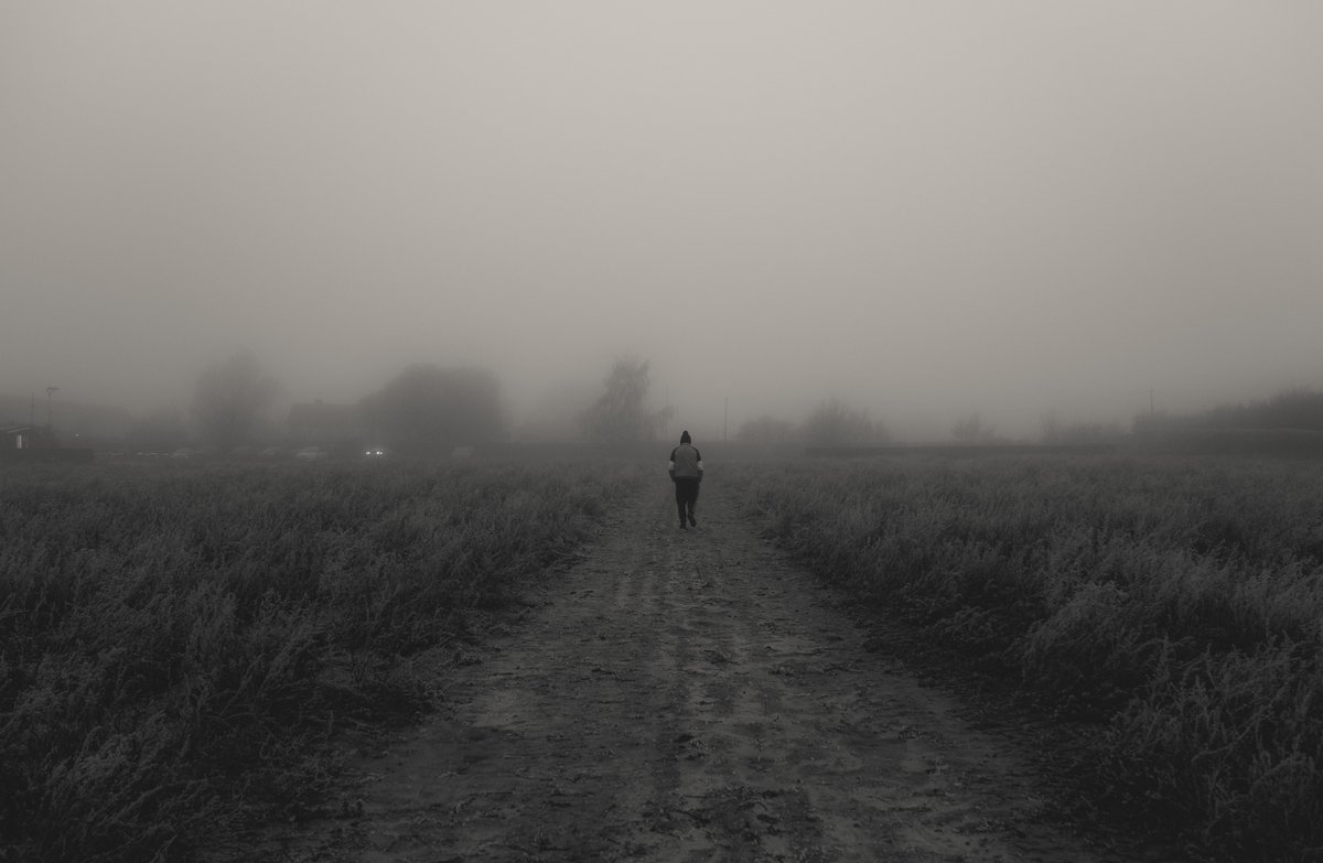 zosphotos's tweet photo. Running away https://t.co/6d8C6Jbezy