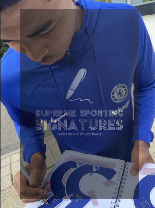 SS_Signatures's tweet photo. Koulibaly and Fofana signed shirts also in stock now!

Photo proof and a certificate of authenticity included.

Message if interested. Only one of each player left! https://t.co/Pey091Mitr