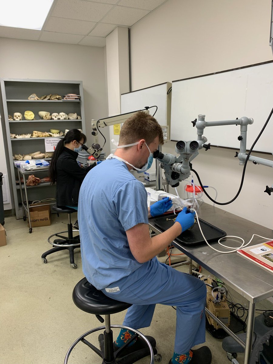 We just reestablish our temporal bone lab <a href="/StonyBrookMed/">Stony Brook Medicine</a> @sbusurgery We have just 2 stations for now but soon we will have one station for each resident. Excited!