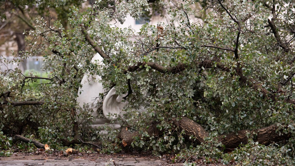 .<a href="/ucdavis/">UC Davis</a> was braced today for a blast of wind and rain like the New Year’s Eve storm that brought down 25 trees, including one that left a hole in the side of Kemper Hall and another that landed atop an Egghead sculpture. ucdavis.edu/news/wind-rain…