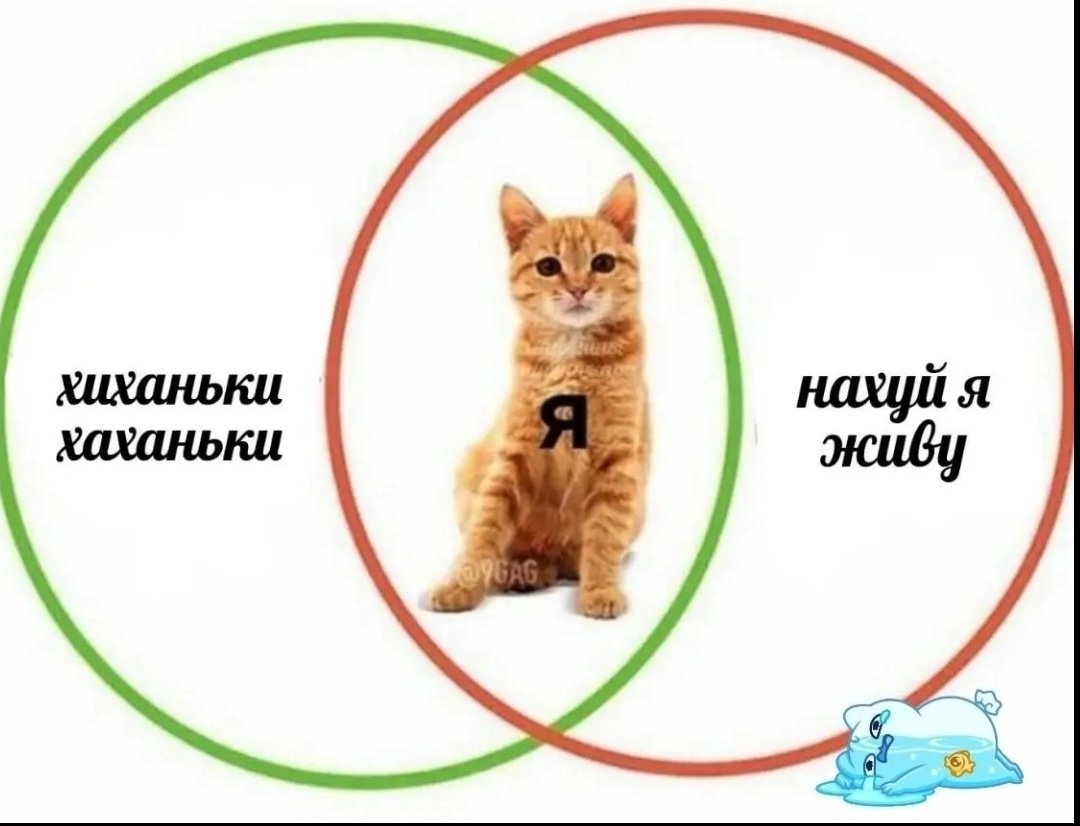 ноунейм какой-то (@pyzatahata) on Twitter photo 