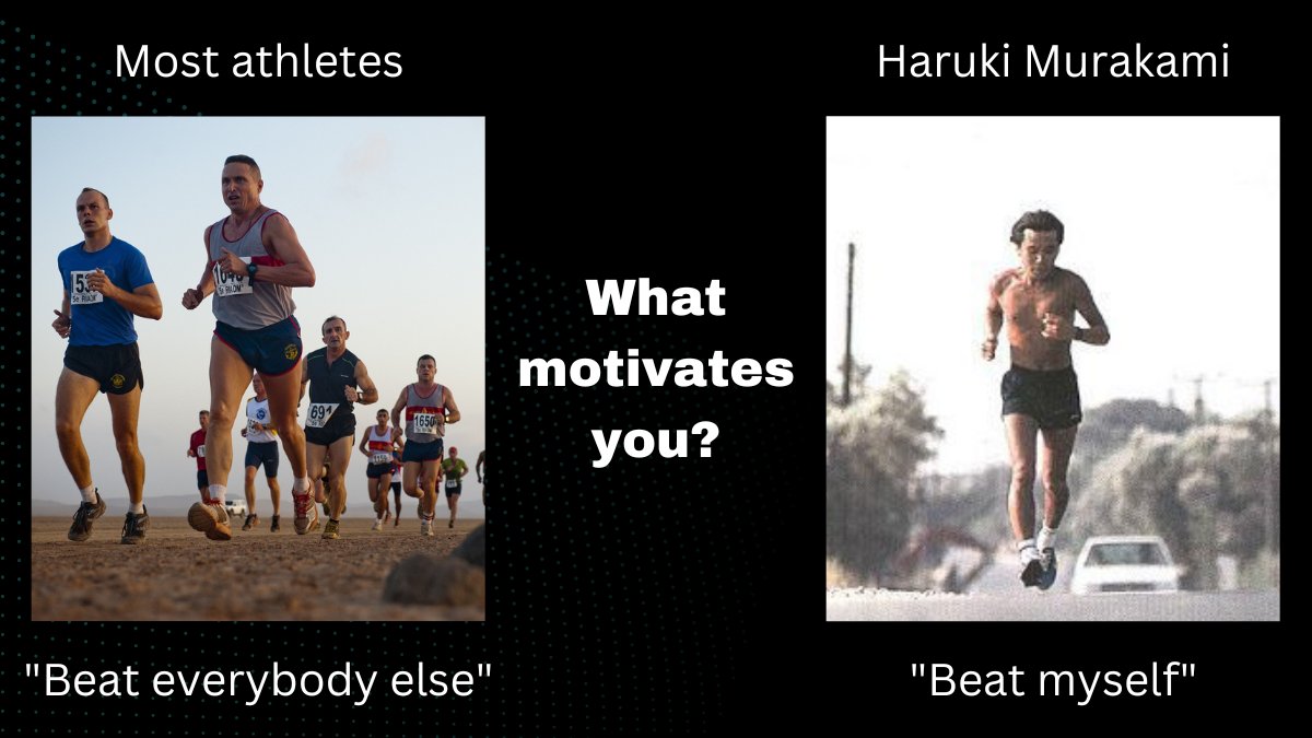 Black Lab Sports tweet media