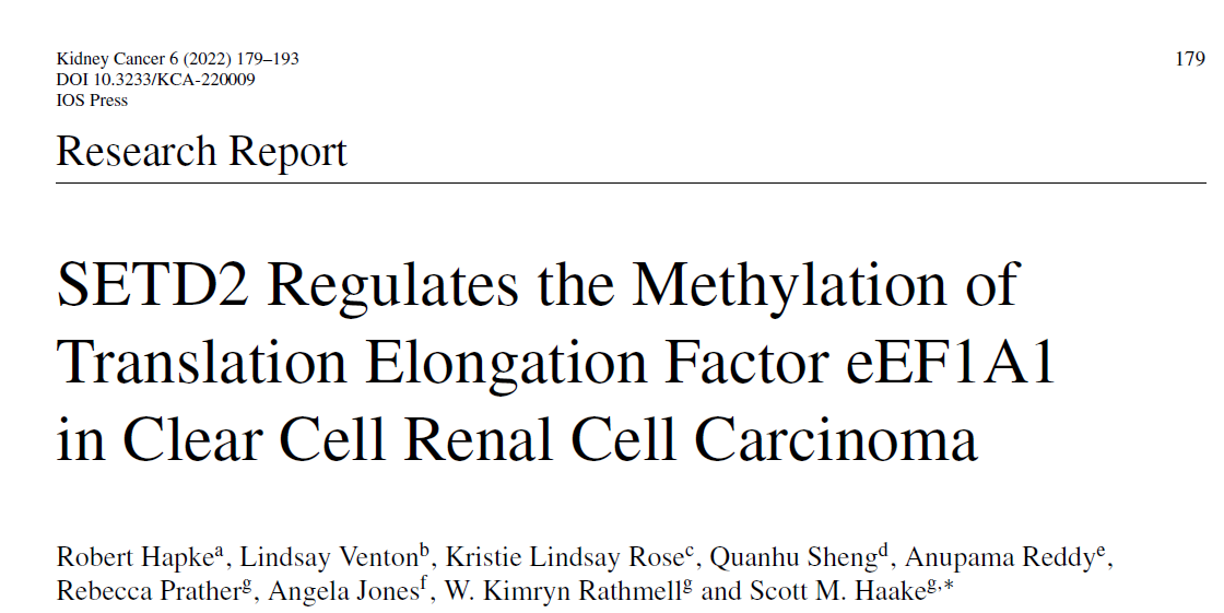 KCA_Journal's tweet photo. Just in @KCA_Journal : The SETD2 story continues to unfold in #kidneycancer. New data suggest SETD2
regulates protein translation in addition to other functions! 👉https://t.co/GdCdVuT8Z8 by @DrScottHaake @rob_hapke @KimrynRathmell @VUMCHemOnc @Oncoalert https://t.co/A8kl4yjFeW