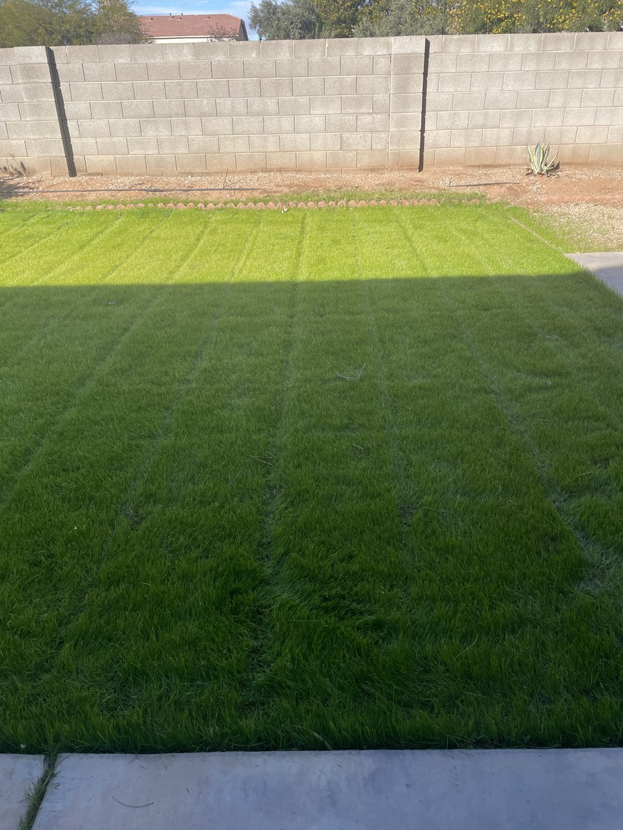 Joe7Perez's tweet photo. 1st cut ✅

#WinterRye https://t.co/JlTjbEO9KQ