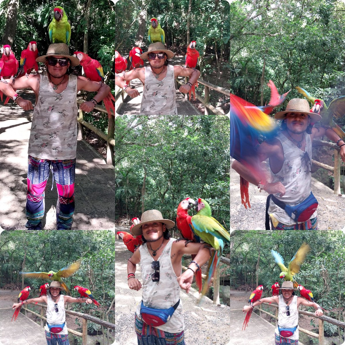 AlexEnLaLucha's tweet photo. Soy muy feliz al lado de estas bellezas  🐒🙊 🐻 🐬 🐦 
Una experiencia maravillosa que nunca olvidaré ...
#Priceles
#Dolphins 
#monkys https://t.co/ZLALWgpqeQ