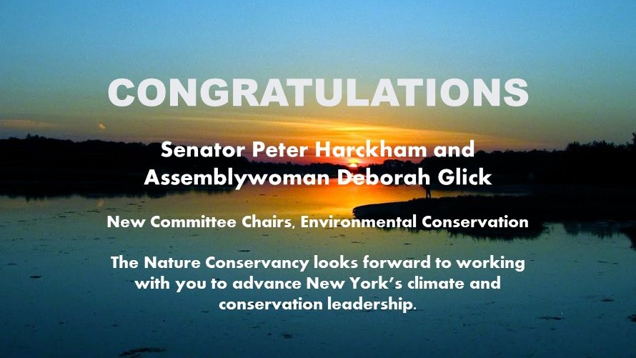 Nature Conservancy NY tweet media