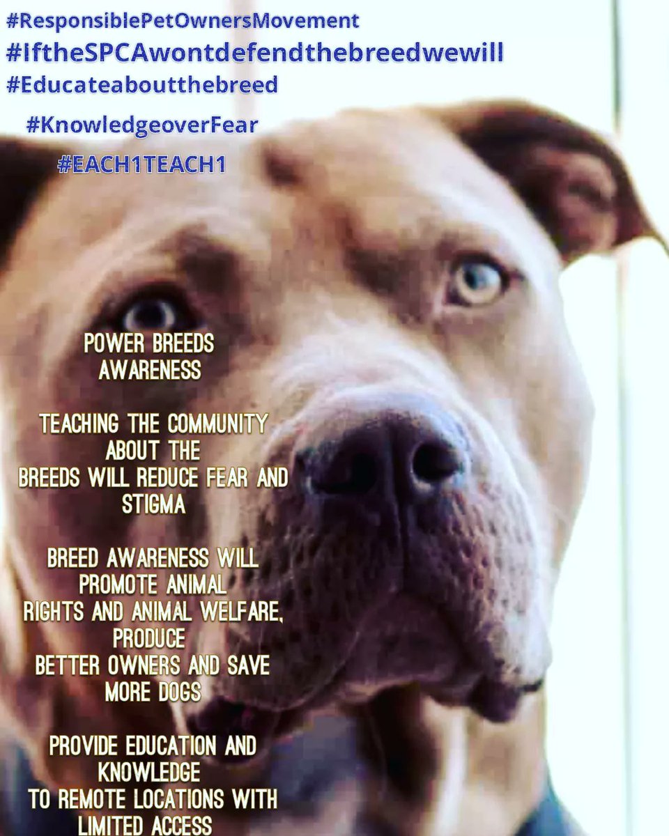 ForcelawKennel's tweet image. #Fortheloveofpitbulls 
#ForcelawKennelproject 
#bethevoice
#NewYear 
#Trending 
RSA ANTI_PITBULL SQUAD