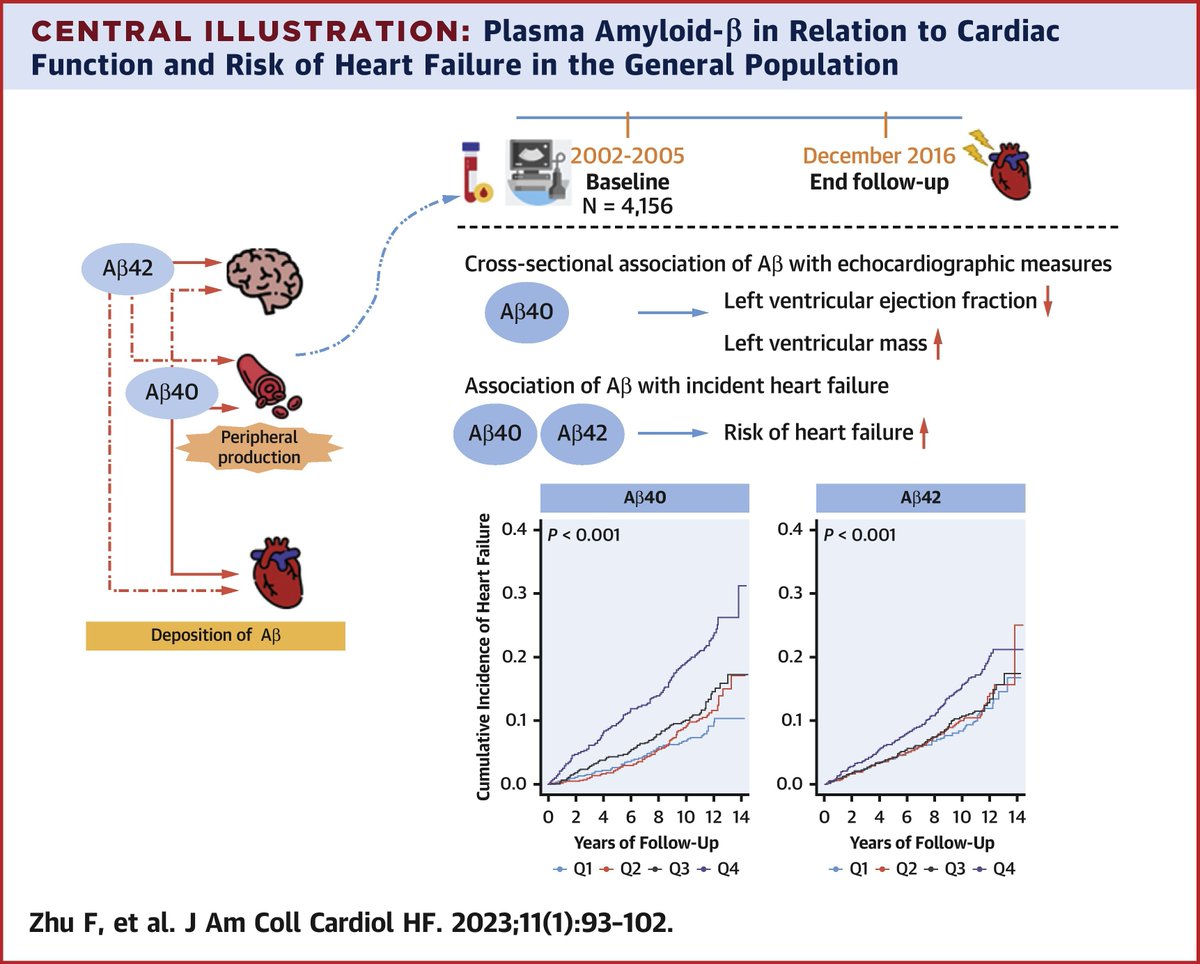 JACCJournals's tweet photo. New in #JACCHF: Plasma amyloid-β is associated with higher risks of myocardial dysfunction and new onset heart failure. https://t.co/8sk7vcb990
#Amyloid #HF #HeartFailure #MyocardialDysfunction #CardioTwitter https://t.co/XmWllFR0ak