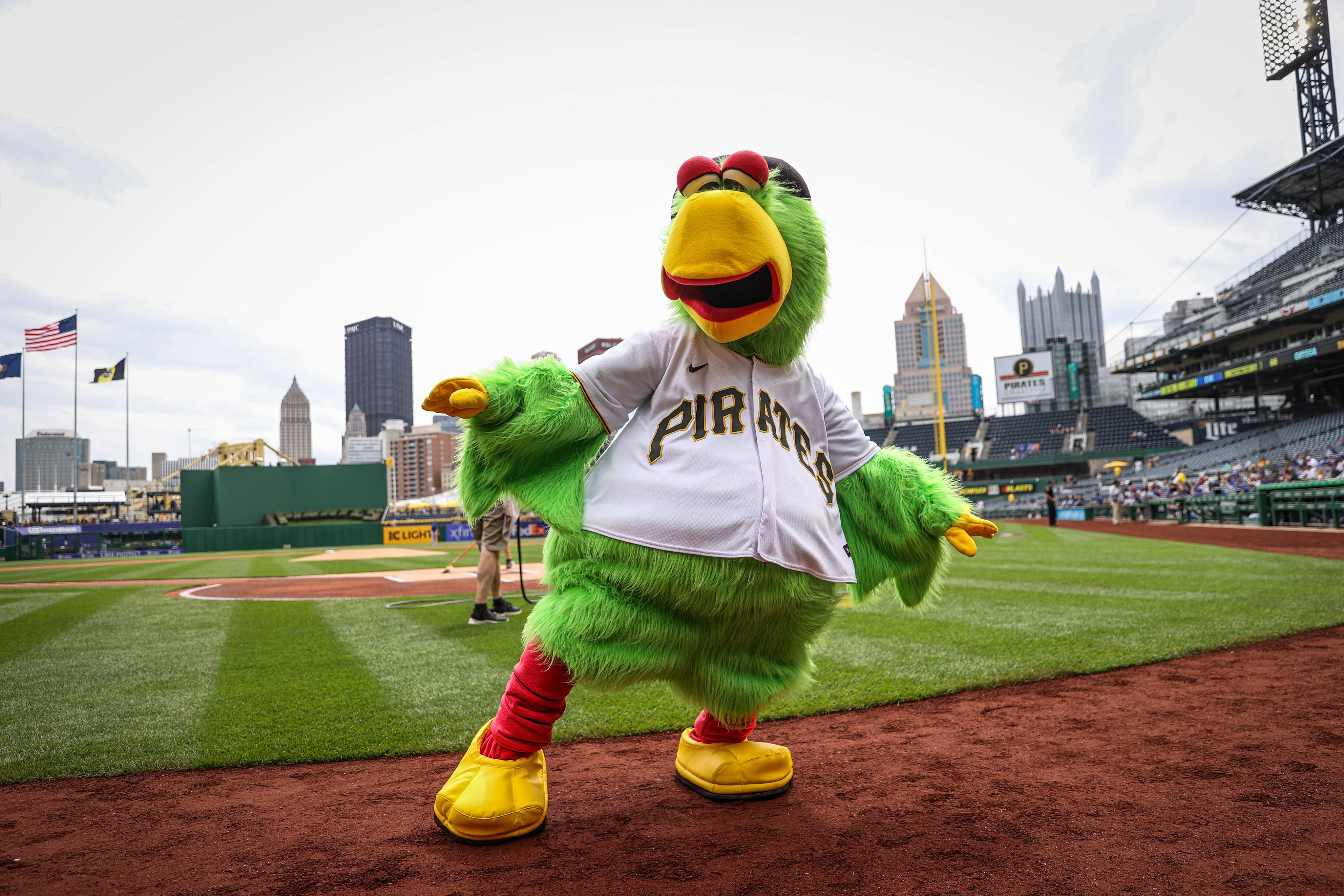 The Pirate Parrot on X: Happy #NationalBirdDay! 🥳