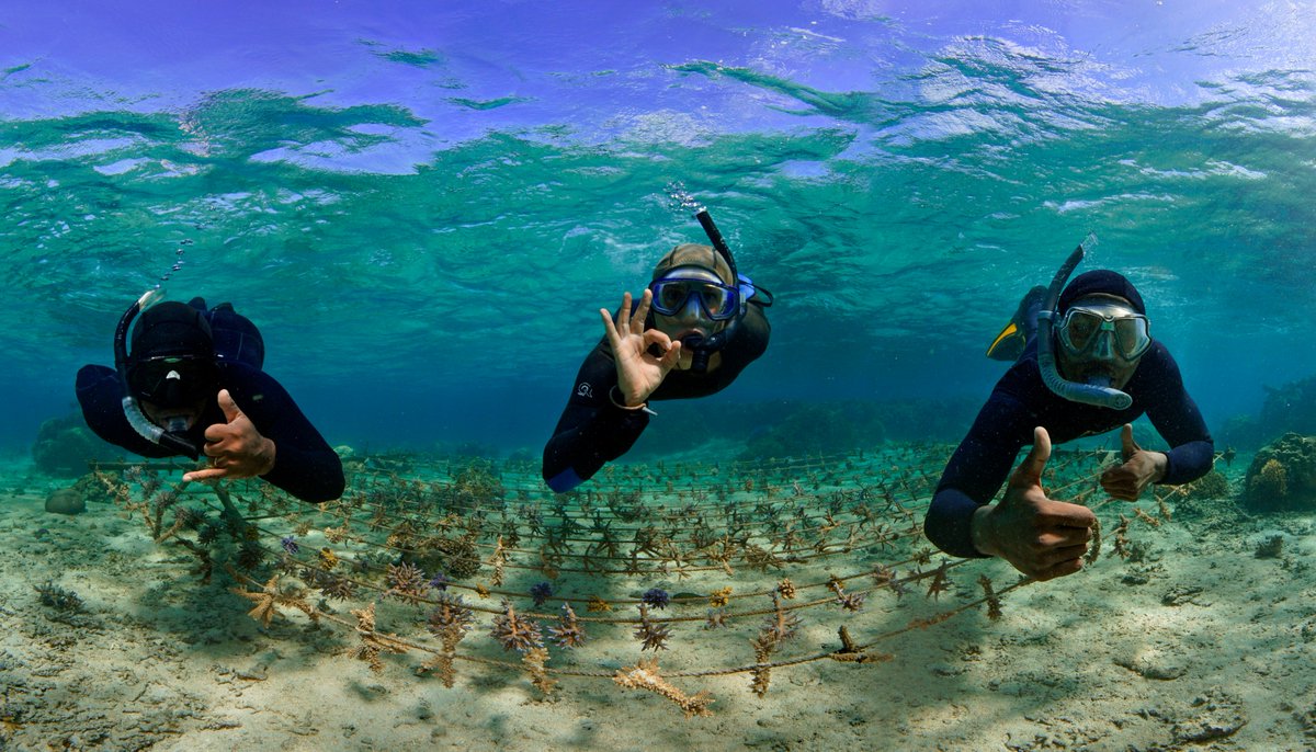 New year, new opportunities #ForCoral. 

Together, let's make 2023 a year of conservation and restoration 🪸 🪸 🪸

For inspiration, take a look at how <a href="/UNDP_Pacific/">UNDP Pacific Office in Fiji</a> <a href="/GlobalFundCoral/">Global Fund for Coral Reefs</a> is taking action: ow.ly/6J2p50Jr5cE