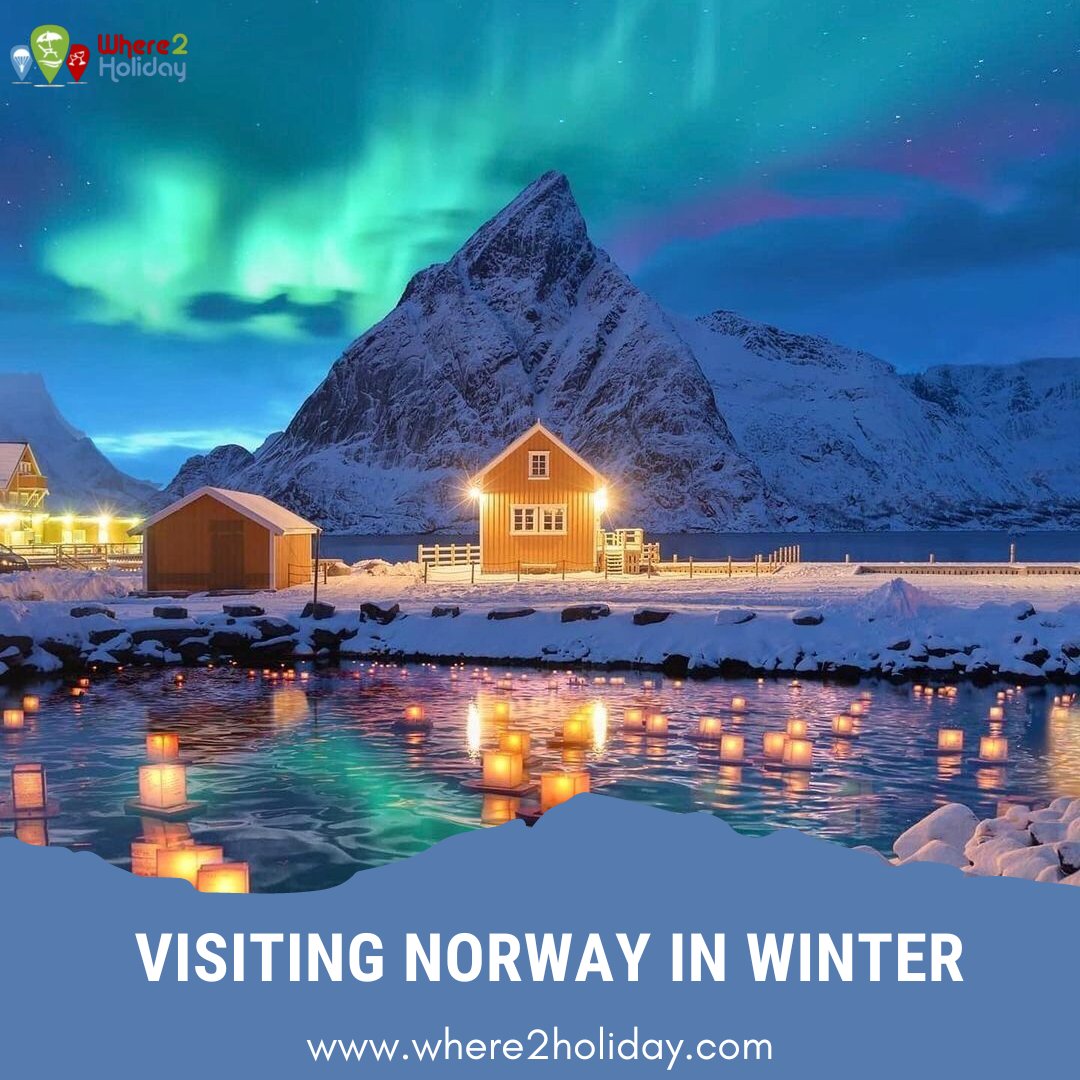 Where2Holiday tweet media