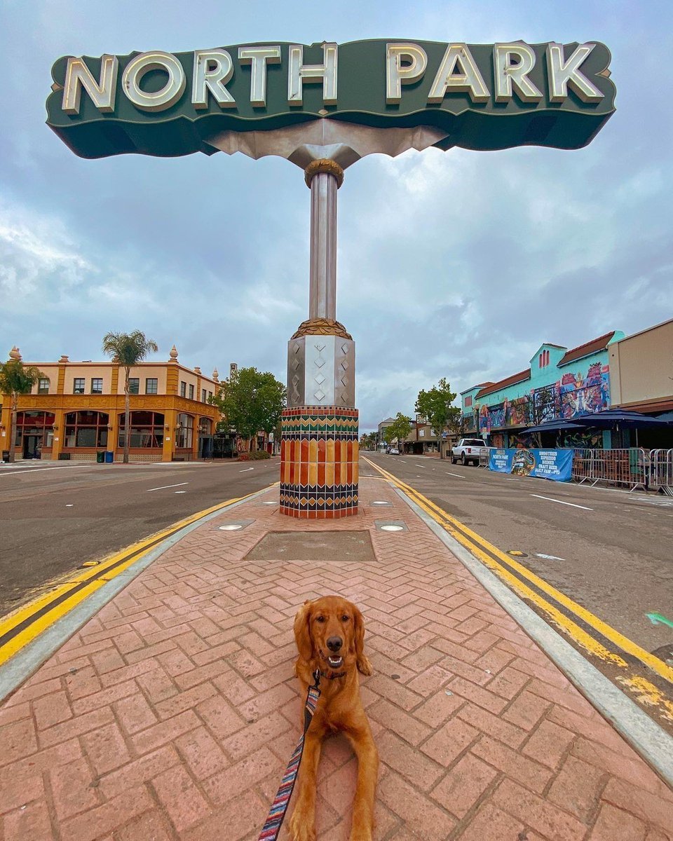 Who says dogs can't enjoy tacos too? Bring your pup to @citytacossd's North Park location for a pup-friendly meal on their patio! 🐶

📸 @goldenmalta

Via: @explorenorthpark