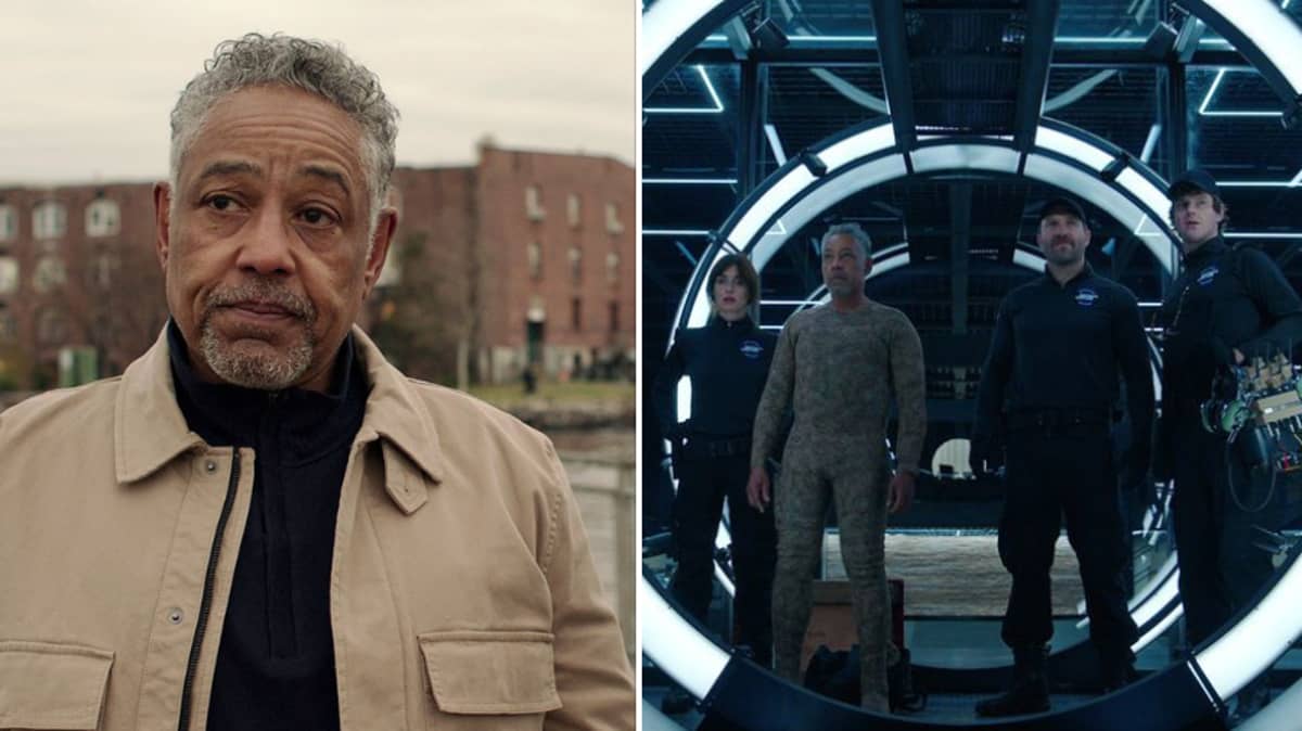 LADbible News on Twitter "🔔 The best order to watch Netflix’s