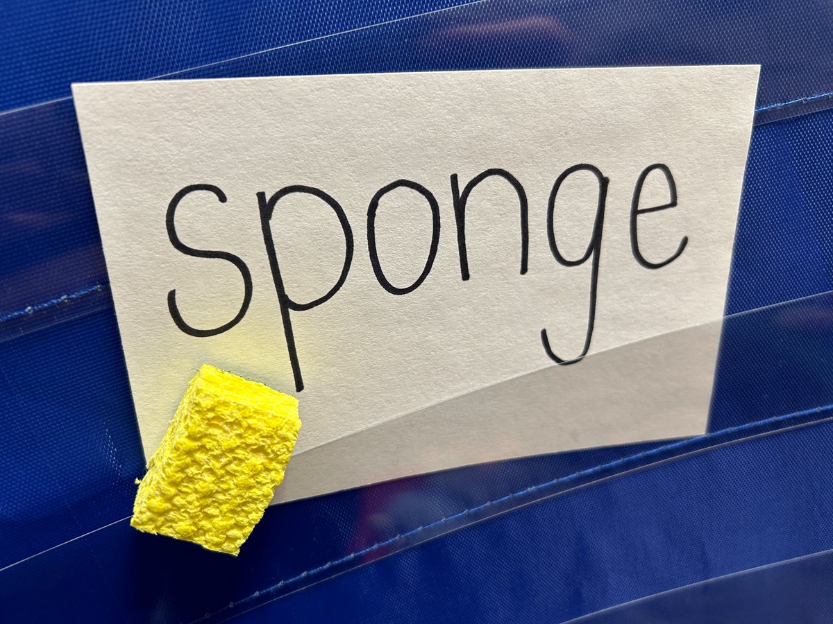 These first graders decided they can be scientists too! <a href="/MissDirrigl/">Maggie Dirrigl</a> and I are integrating science and literacy as we learn about sound. Today we started building language by using some realia and having a shared experience 🧽🧵🥼 <a href="/MrsAdams716/">Marisa Adams</a> <a href="/SHSciLabTeacher/">Cheryl Aldrich</a>   #WeAreSweetHome