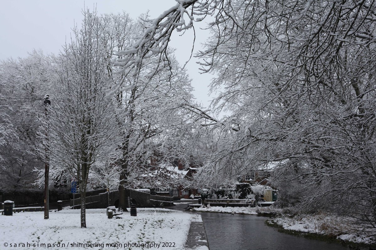 ShimmeringMoonPhoto tweet media