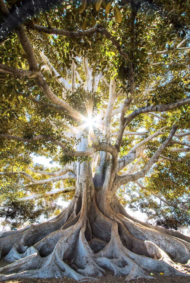docranroland's tweet photo. What you need to make 2023 a year of Greatness:

- Purpose
- Perseverance
- Motivation
- Accountability
- Responsibility
- No excuses

What else? https://t.co/peIl0f8kfz