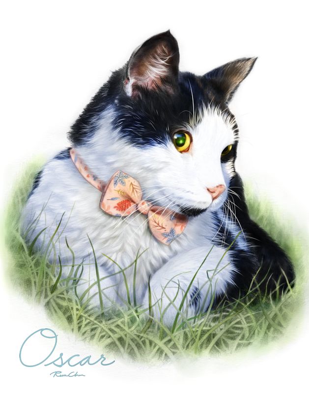 revaDraws's tweet photo. The finished Oscar! It was such an honor to draw this special cat with the unique eyes, who went to the rainbow bridge. I was asked to add the bow tie because he wore one to every vet visit! I enjoyed drawing him so much. Thank you  for having me draw Oscar @PeachesPomPom1 ❤️ https://t.co/VPFKNv6rB3