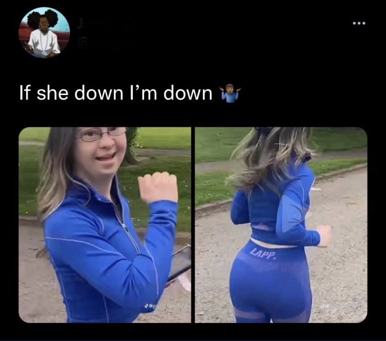 tragicbirdapp's tweet image. lord no