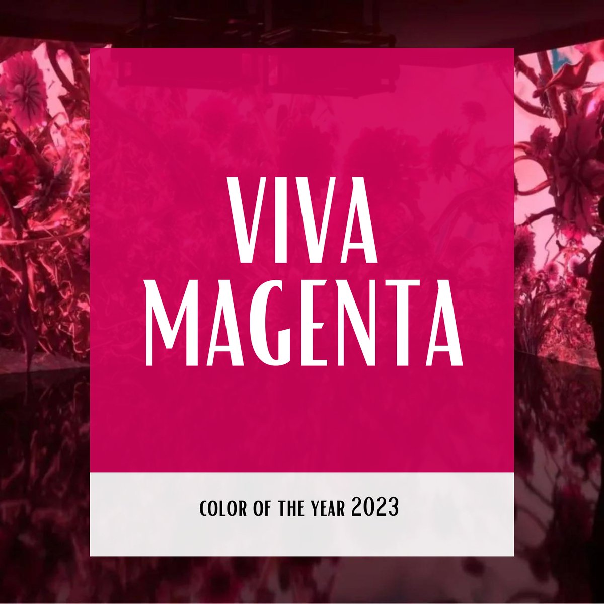 Impress_Gifts's tweet photo. Love it - Pantone has named Viva #Magenta its 2023 #ColourOfTheYear💗According to Pantone’s official reveal, it's a shade that comes from nature and a signal of #strength. A colour that radiates pure joy AND makes a statement. 25 years later...who knew😉
#PortCredit #AHappyPlace https://t.co/jGy0yVl49j