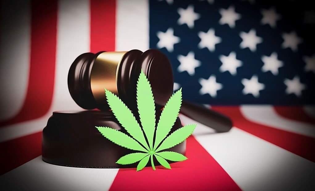 CWJournalsarab's tweet image. #CWJ  #هل_تعلم_أن 

في عام 2022، تم تقديم العديد من مشاريع قوانين القنب إلى الكونجرس الأمريكي؟ 
بالضبط! في عام 2022 تم تقديم العديد من مشاريع القوانين، من بينها: MORE Act و Hope Act و SAFE Banking Act و ICBA و CAOA التي تم رفضها للأسف. 
هل تريد أن تعرف ما هو كل قانون؟