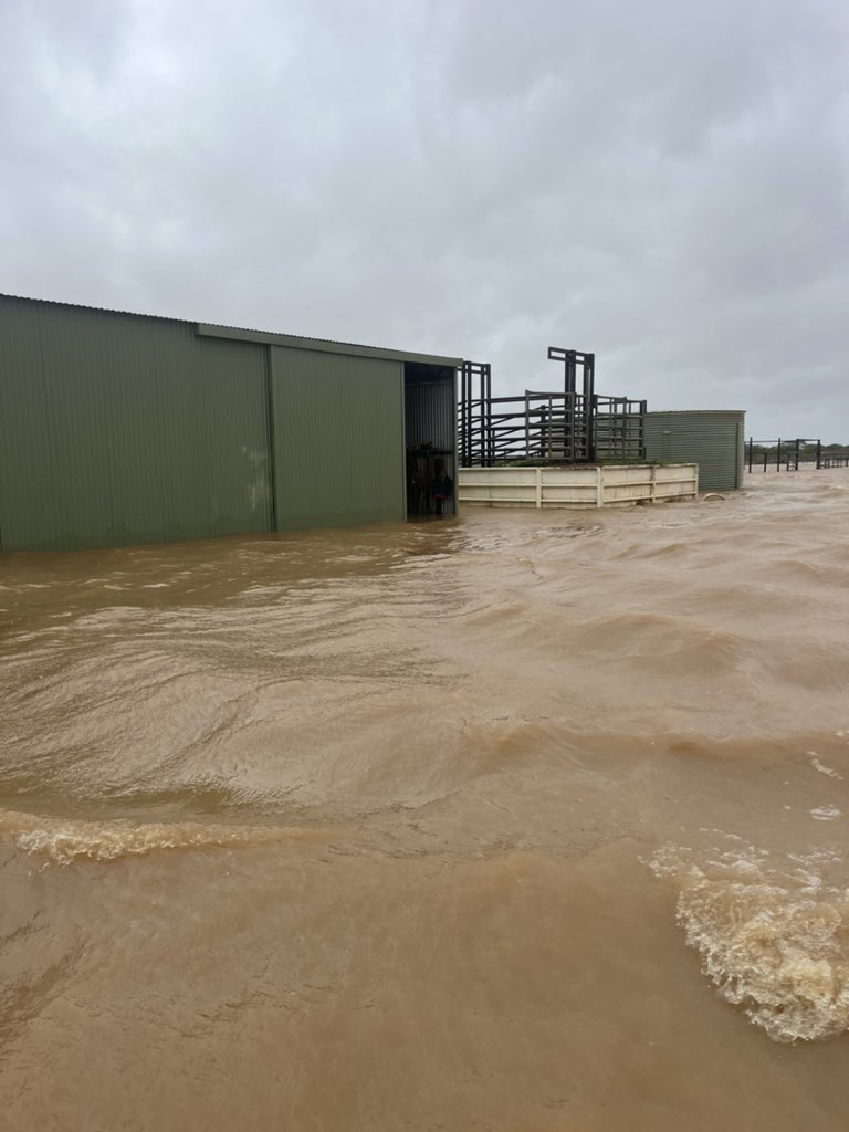 camillecamp10's tweet photo. Yesterday we saw cattle loss, we saw buildings on our property go under and we watched helplessly as our son’s pony got swept away by a raging river only 20m from our house. Today we go back to our homestead not knowing what we’re going to find. https://t.co/8DOL7ZwrTb