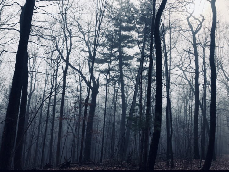 foggy vistas along Coxing Kill, or adventures in Mohonk Preserve, NY