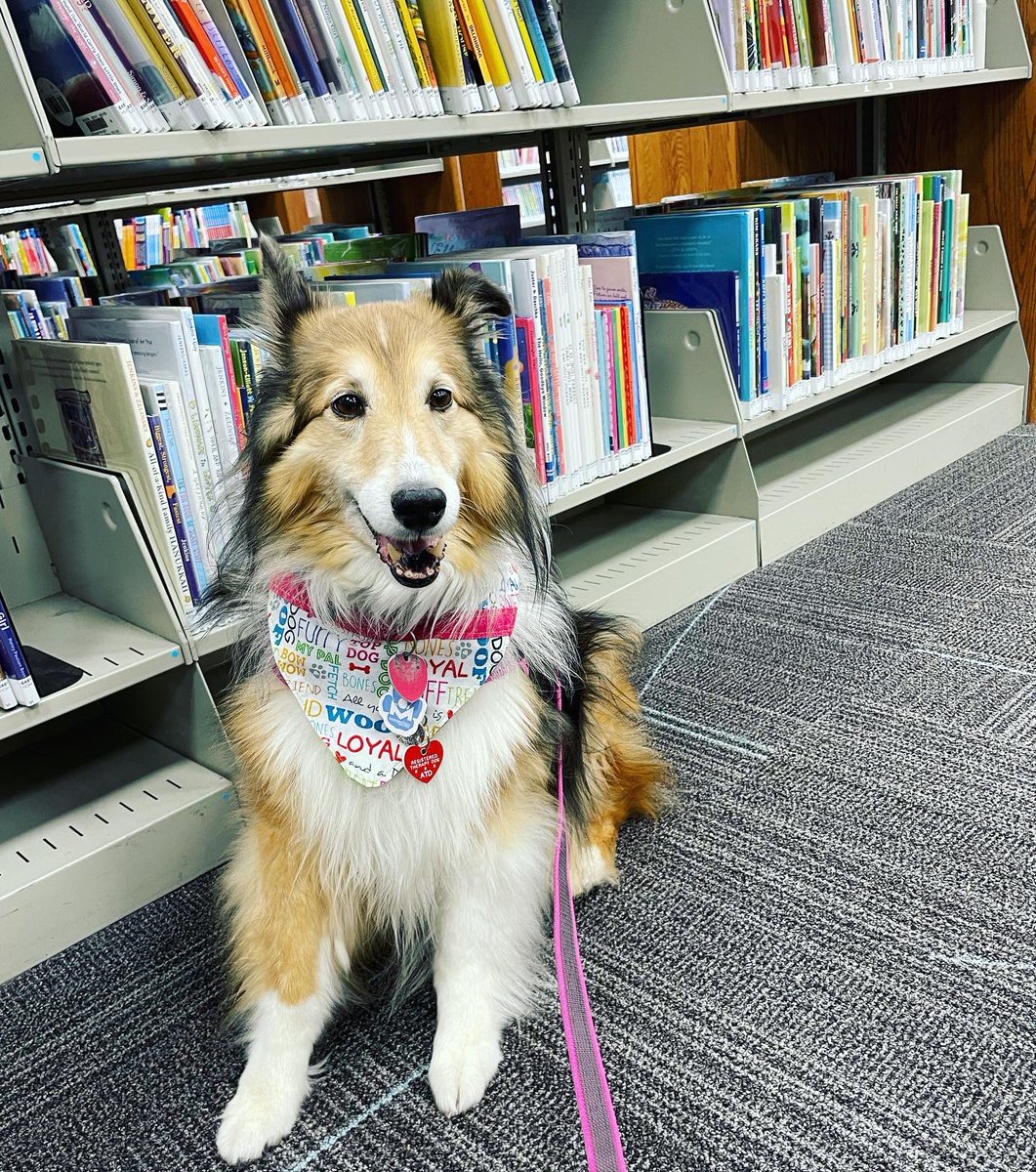 I bet you can guess what I was doing here! I was at the library for Children Reading to Dogs! Did you guess right? I love to visit the @MetroLibraryOK in The Village! 💙🐾💙 #mollygirltherapydog #BooksOfTheYear
