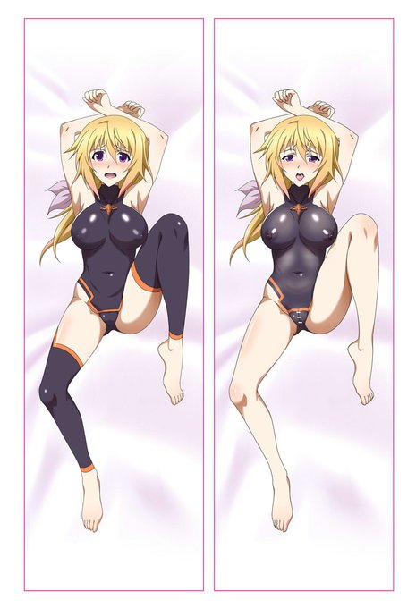 【お知らせ】抱き枕のカスタマイズについて

現在発売中のIS抱き枕シリーズですが、基本的には片面印刷のみで、デザインも固定されています

もしカスタマイズ(両面印刷やポーズ、服装の変更)ご希望の場合は、PixivDM/TwitterDM/メールなどからご連絡頂ければ対応致します

https://t.co/gwePGf3Jj9 